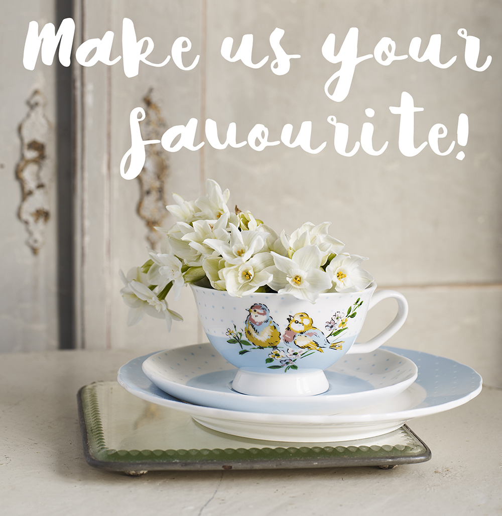 birdsong cup and saucer wit daft